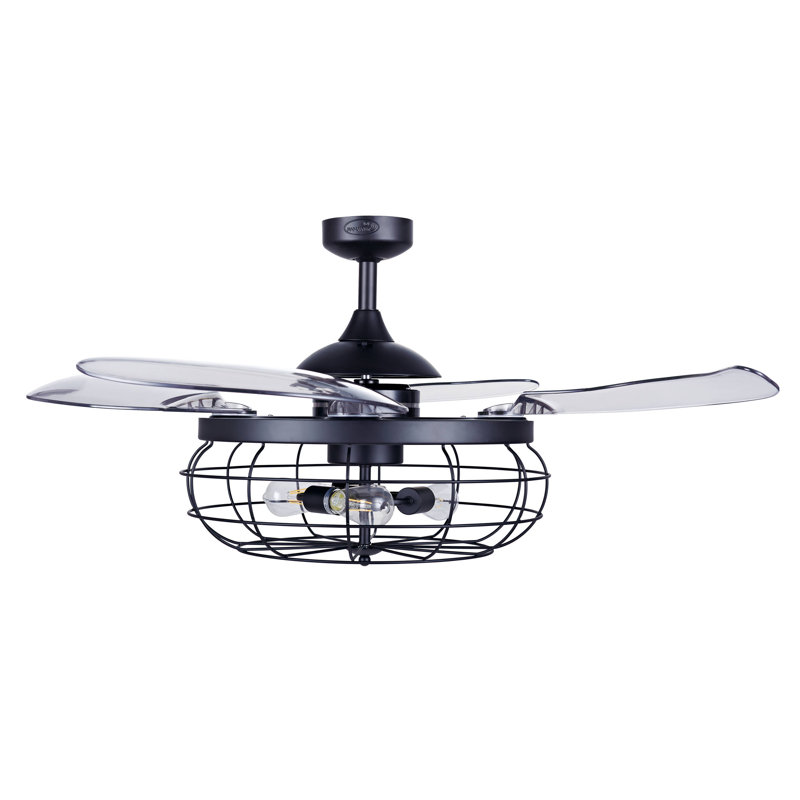 Amabilia 122cm Ceiling Fan with Light Kit, Black with Smoked Blades