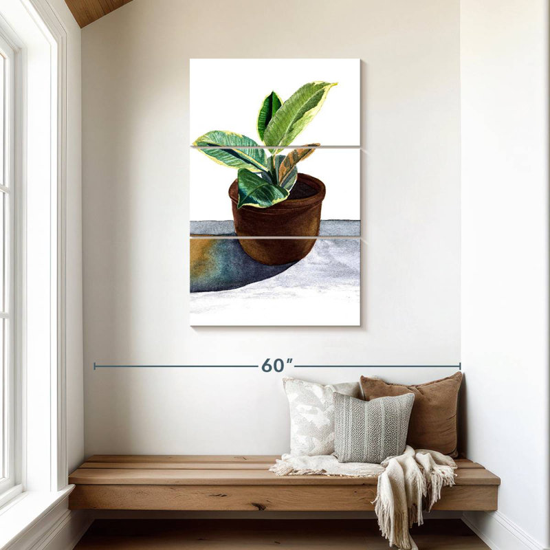 Plante Harnek dans un pot en céramique, H 45 po x l 28 po