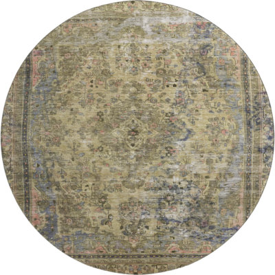 Premium Machine Washable Lampkins AMF1646 Global Rug