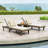 Morell Outdoor Acacia Chaise Lounge with Table-691625835-691608113