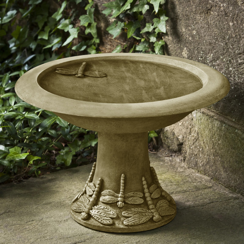 Petit bain d'oiseaux libellule, Mousse anglaise