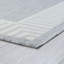 Tapis gris à imprimé animal Benu-32967984
