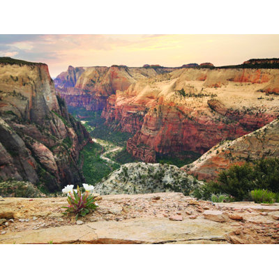 «Zion Desert Life» par Lori Deiter, reproduction d'art sur toile tendue