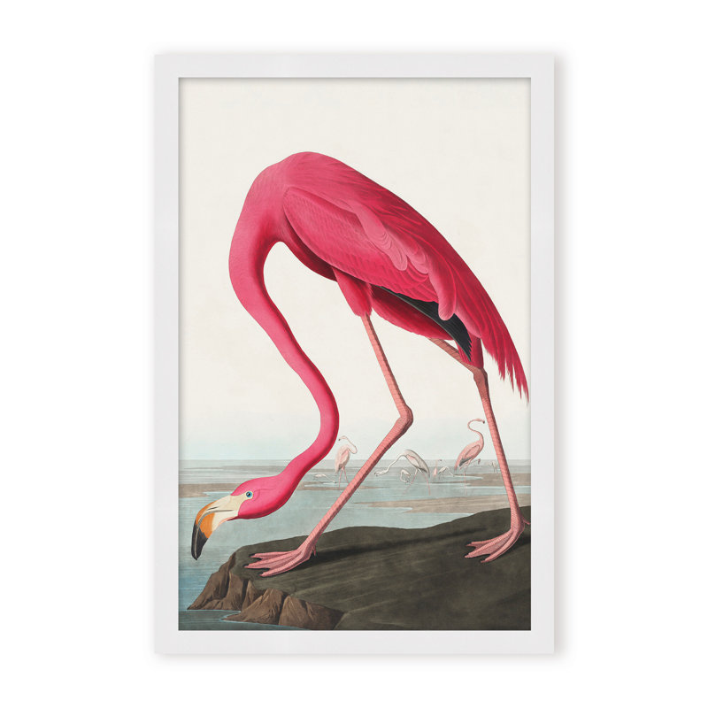 Coastal Retreat Pink Flamingo II From Birds Of America (1827), 48" H x 36" W x 1.125" D, Framed Print, Gold