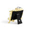 Lovebirds Silver & Gold Frame-657296457