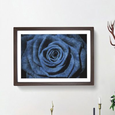 Pretty Blue Rose - Framed Print