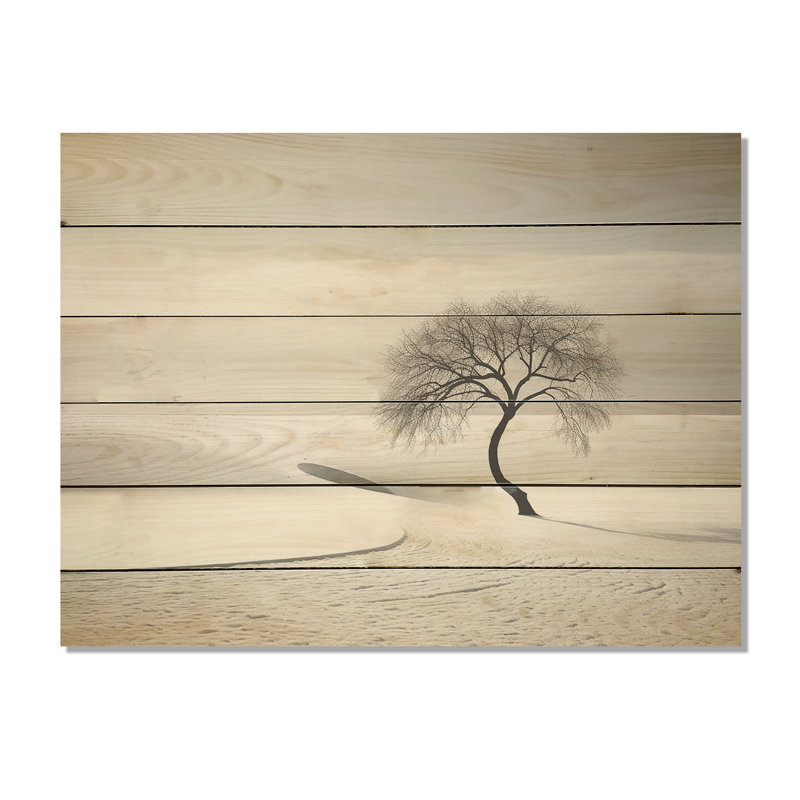 Winter Scenery Landscape Photo - Winter Landscape Wood Panel Wall Art On Natural Pine Wood, 10" H x 20" W