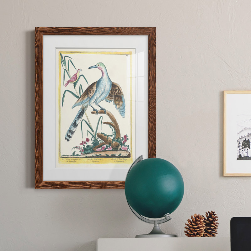 Pastel Birds V Premium encadré mat - prêt à être accroché, H 32 po x l 23 po x P 1 po, Érable encadré