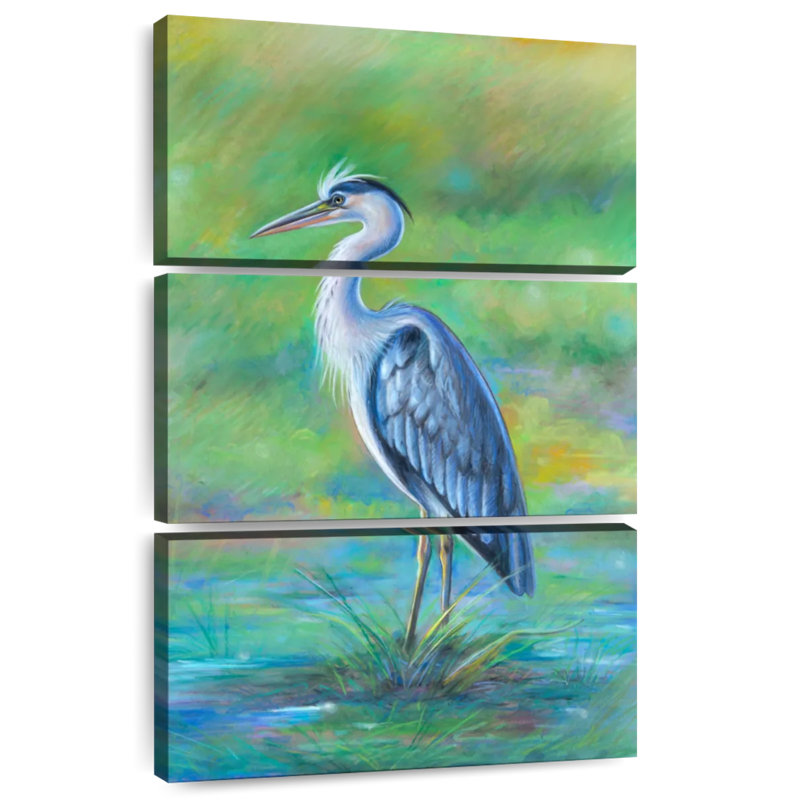 Aigrette ronce