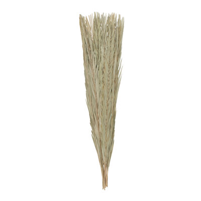 Grand feuillage naturel Cole and Grey Leaf