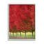 Feuillage d'automne, feuille rouge, scène naturelle - photographie-60025482-60025475