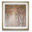 « sunlit bouleau i », reproduction d’impression encadrée-32509800-33030819