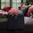 Bebejan Flower Garland 100% Cotton Sateen 5 Piece Reversible Comforter Set-101973999