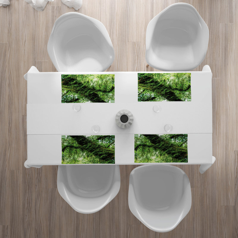 Récapitulatif 18,5" rainforest