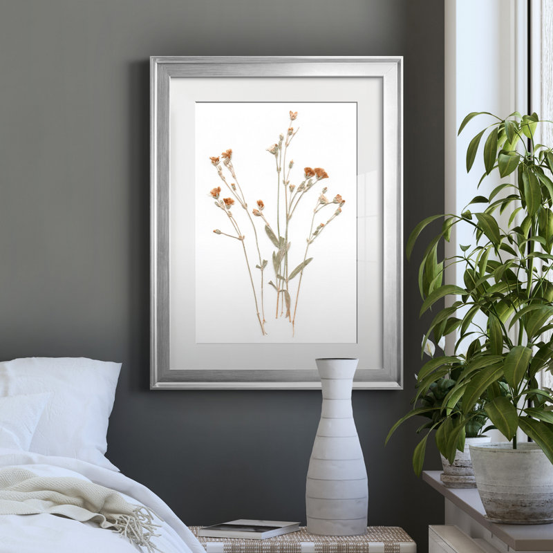 Pressed Botanical I par J Paul - reproduction de cadre photo, H 22,5 po x l 30,5 po x P 1,5 po, Encadrement argenté
