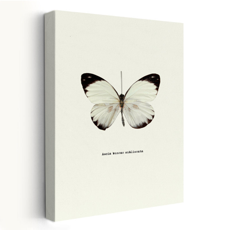 Papillon blanc - Art avec papillons, H 24 po x l 16 po