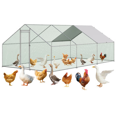 Chicken Coop