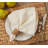 Evansville Polyester Square Napkin-2078463359
