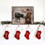 Vache et père Noël-1012418741