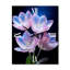 Horloge murale florale - tulipes roses-99632682