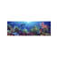 School Of Fish Swimming Near A Reef, Indo-Pacific Ocean - Wrapped Canvas Panoramic Print-1368426222