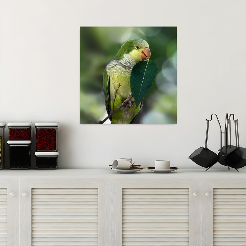 Art contemporain Art animalier contemporain, H 18 po x l 18 po