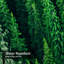Rideau de douche Tops Trees-108164691