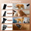 Séchoir à poils haute performance pour animaux de compagnie 2800W P 13 po x l 7,9 po x H 6,7 po - idéal pour les chiens de toutes tailles-118027703