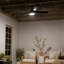 Ventilateur de plafond standard à DEL à 5 pales de 52 po avec télécommande et ensemble d'éclairage inclus Sherika-589285786