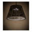 Peach Basket 3 - Light LED Pendant