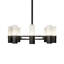8 - Light Chandelier