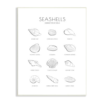 Guide nautique des coquillages