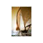 Sunset Sail III Print by Sofia Fox-26939495-26939489