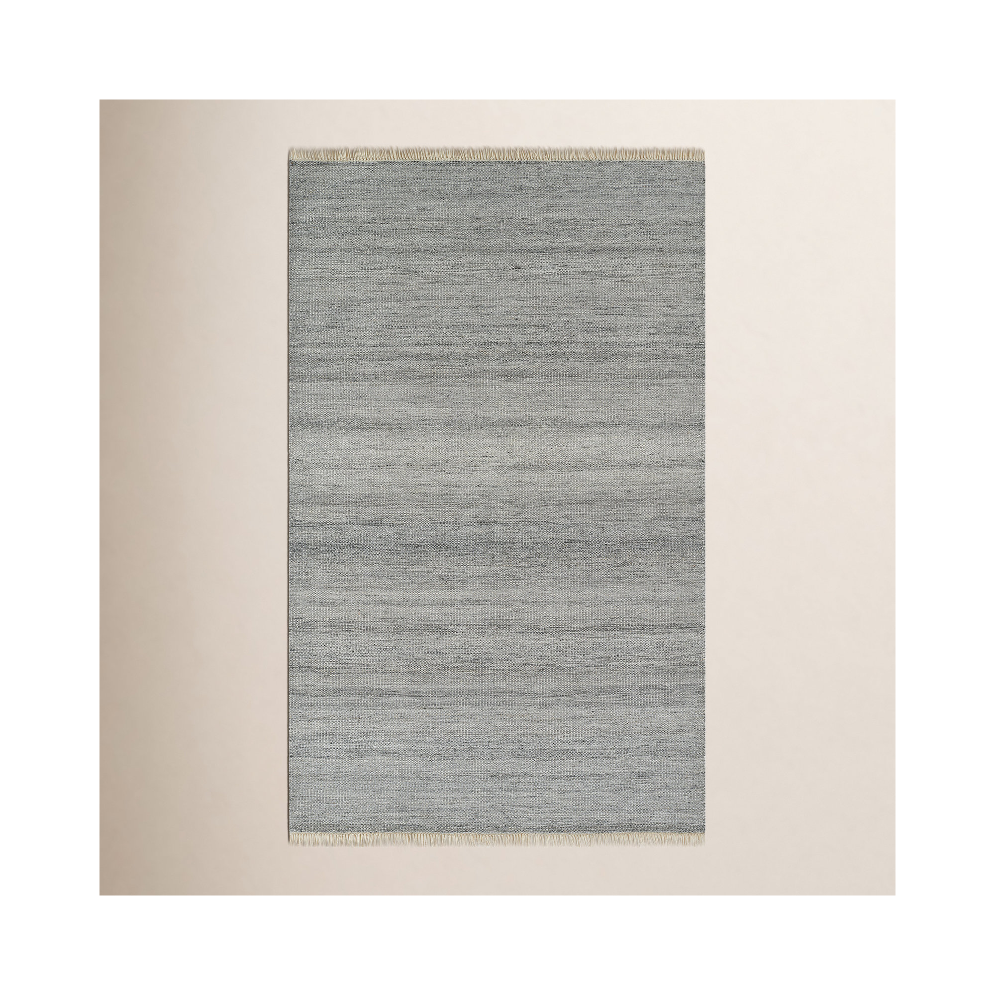 Cassandra Handwoven Indoor / Outdoor Area Rug in Gray, Rectangle 2' x 3'