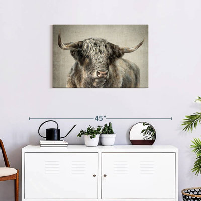 Grand Kyloe Bull