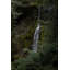 Olympic Falls Print by Bumsted, Kelsey