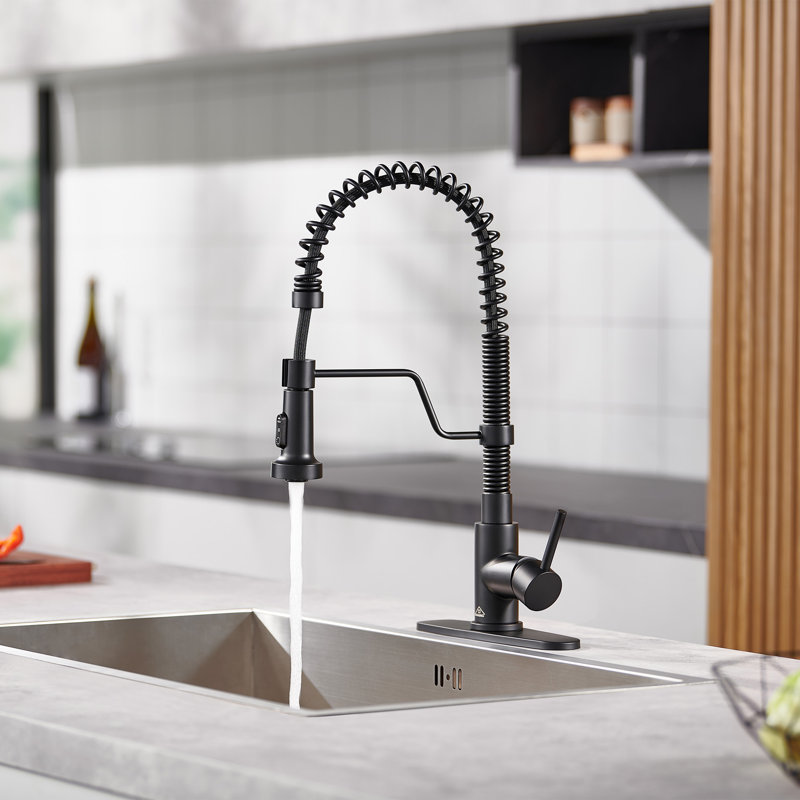 Robinet de cuisine à bec rétractable à ressort 1,8 GPM avec plaque de pont Bolden, Noir mat
