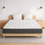 Duhart Open Coil Mattress-1846187559
