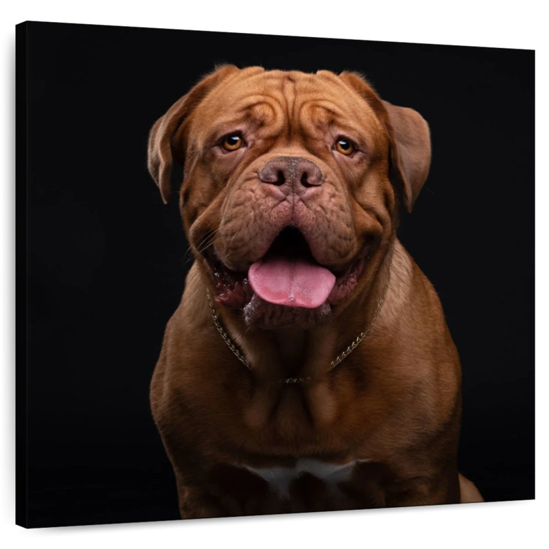 Crowle Bordeaux Mastiff Dog, 30" H x 30" W