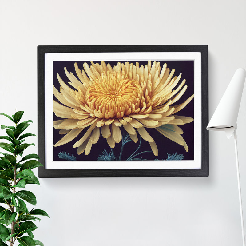 XH1022-1886X Charming Chrysanthemum Flower - Single Picture Frame Print, Black, 46cm H x 64cm W x 2cm D