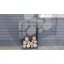 Stephine Log Rack