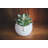 4'' Faux Succulent in Pot