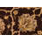 Dorn Wool Oriental Indoor Rug