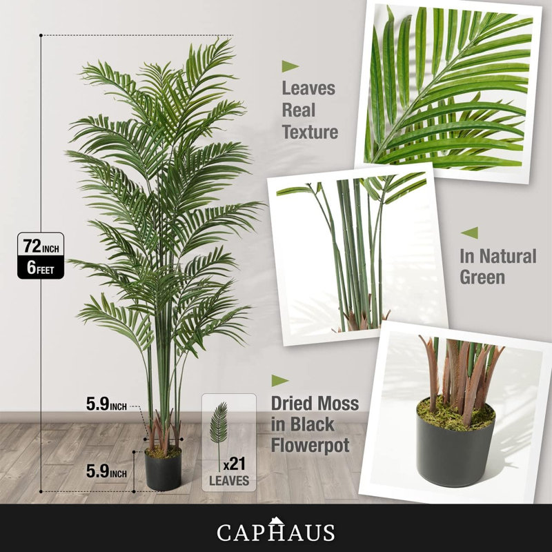 Palmier artificiel Roni, plante faux Dypsis Lutescens en pot avec mousse séchée, 5/6/7 pieds, H 72 po x l 5,91 po x P 5,91 po
