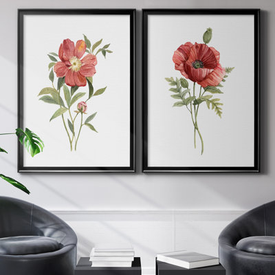 Pivoine écarlate - ensemble de 2 reproductions d'art