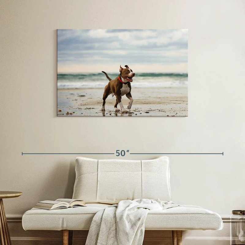 Brampt Pit Bull On Beach, 26" H x 39" W