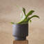 Porcelain Plant Pot-1394136280-1394136262