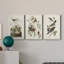 Pl 190 Lincoln Finch - ensemble de 3 impressions sur toile tendue-1010519626