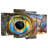 Brampt Iridescent Fish Eye