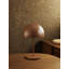 Pin Lamp-1426218558